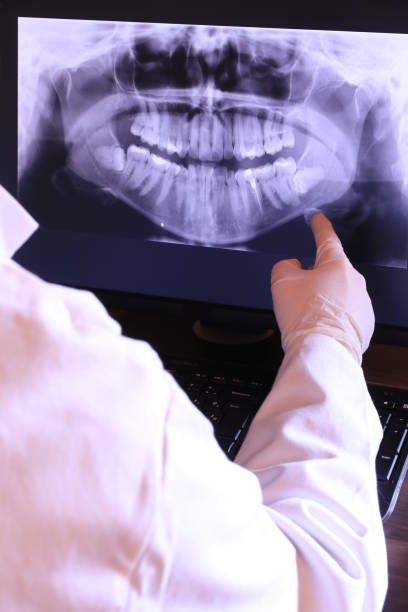 Best Emergency X-Rays and Diagnostics in Churchill, OH